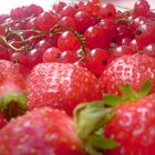 Délice de fruits rouges