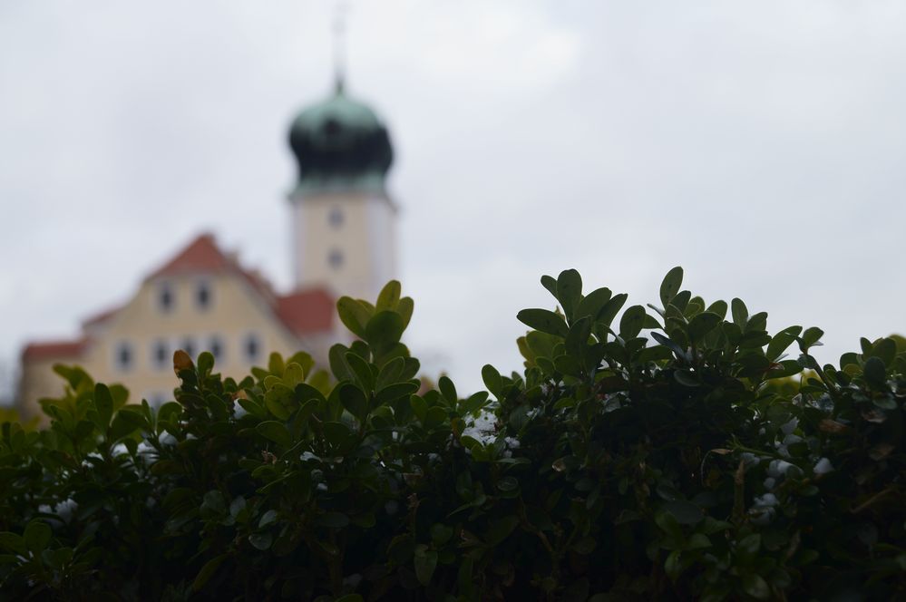 Delitzscher Schloss vom Schlossgarten aus fotografiert