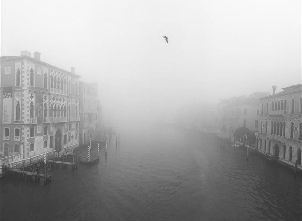 della nebbia e dintorni *