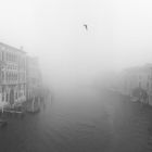 della nebbia e dintorni *