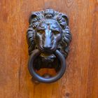 Della serie Battenti