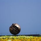 Della serie che "PALLA" una versione colorata della super fotografata Palla di pomodoro