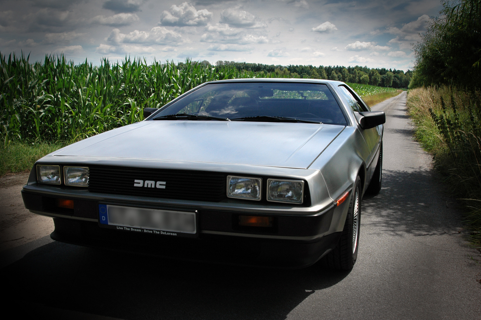 Delorean DMC 12 im Sommer 2014