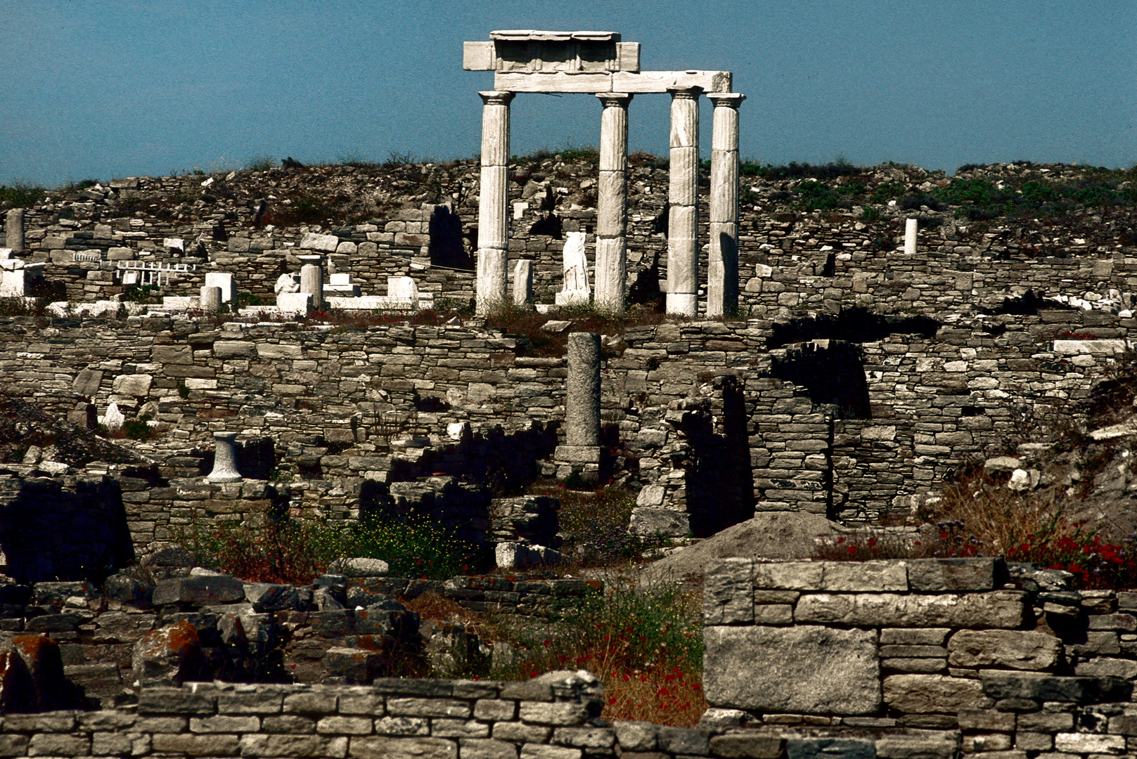 Delos