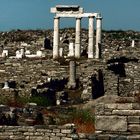 Delos