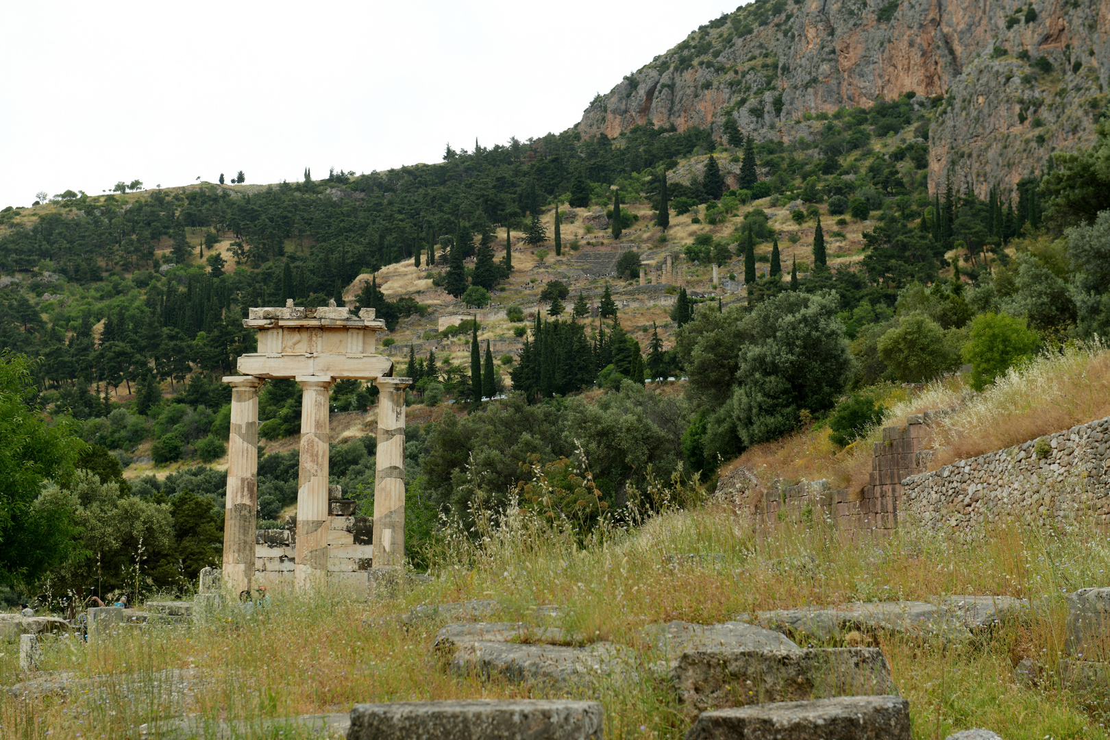 Delphi 01