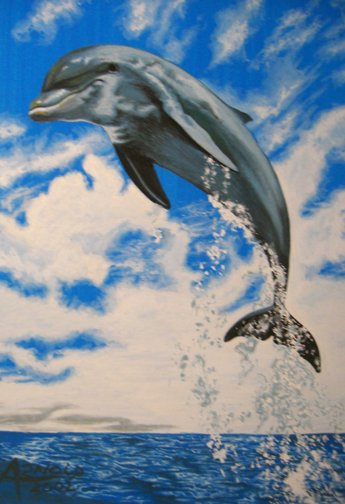 Delphin Gemalt Uno De Mis Cuadros Foto Bild Tiere Wildlife Saugetiere Bilder Auf Fotocommunity