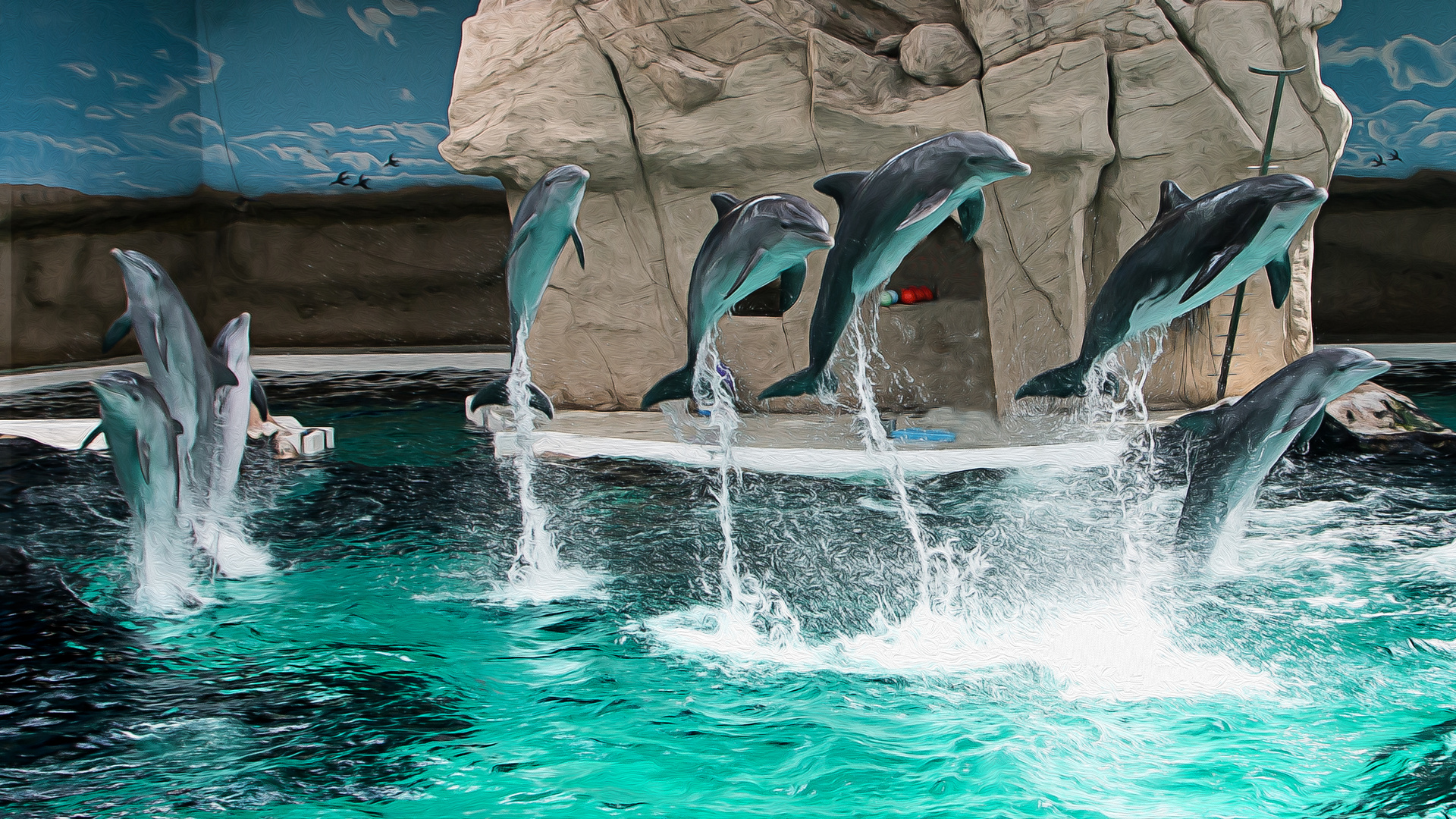 Delphin Show