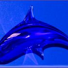 Delphin-Sprung ins Blaue