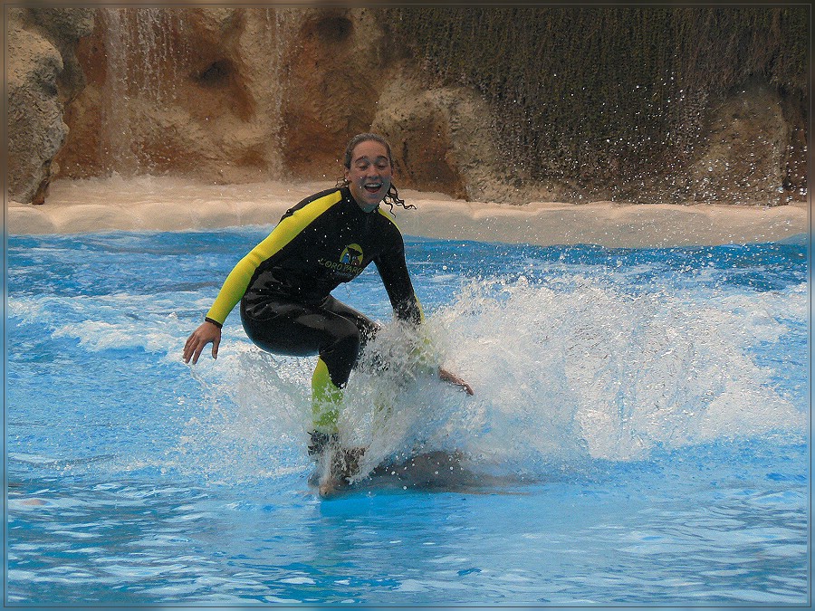 Delphinsurfen im Loro Parque