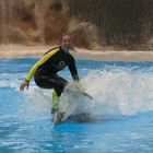 Delphinsurfen im Loro Parque