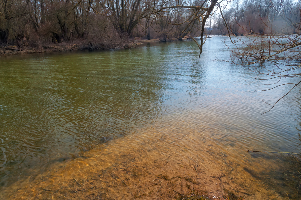 Delta de la Sauer