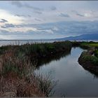 Delta de l´Ebre