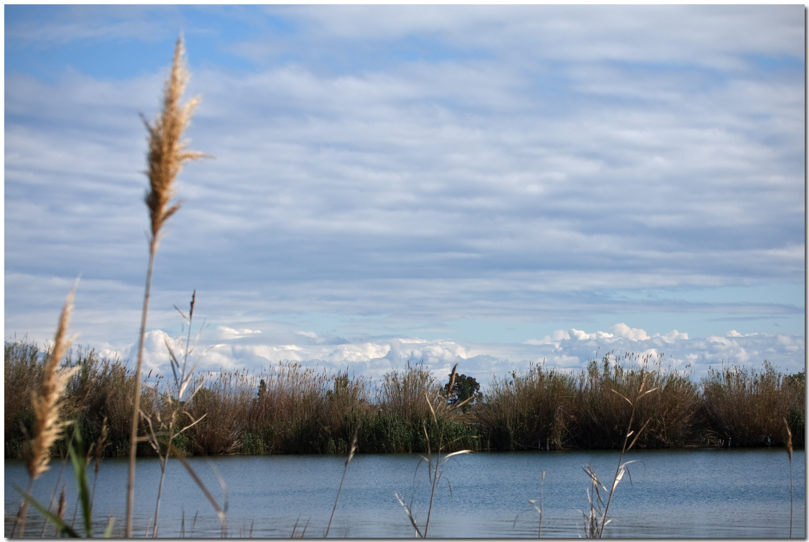 Delta de l'Ebre I