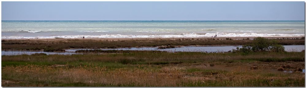 Delta de l'Ebre VI