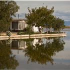 Delta de l'Ebre VII