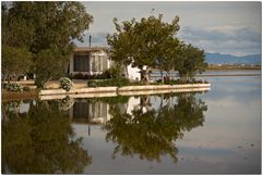 Delta de l'Ebre VII