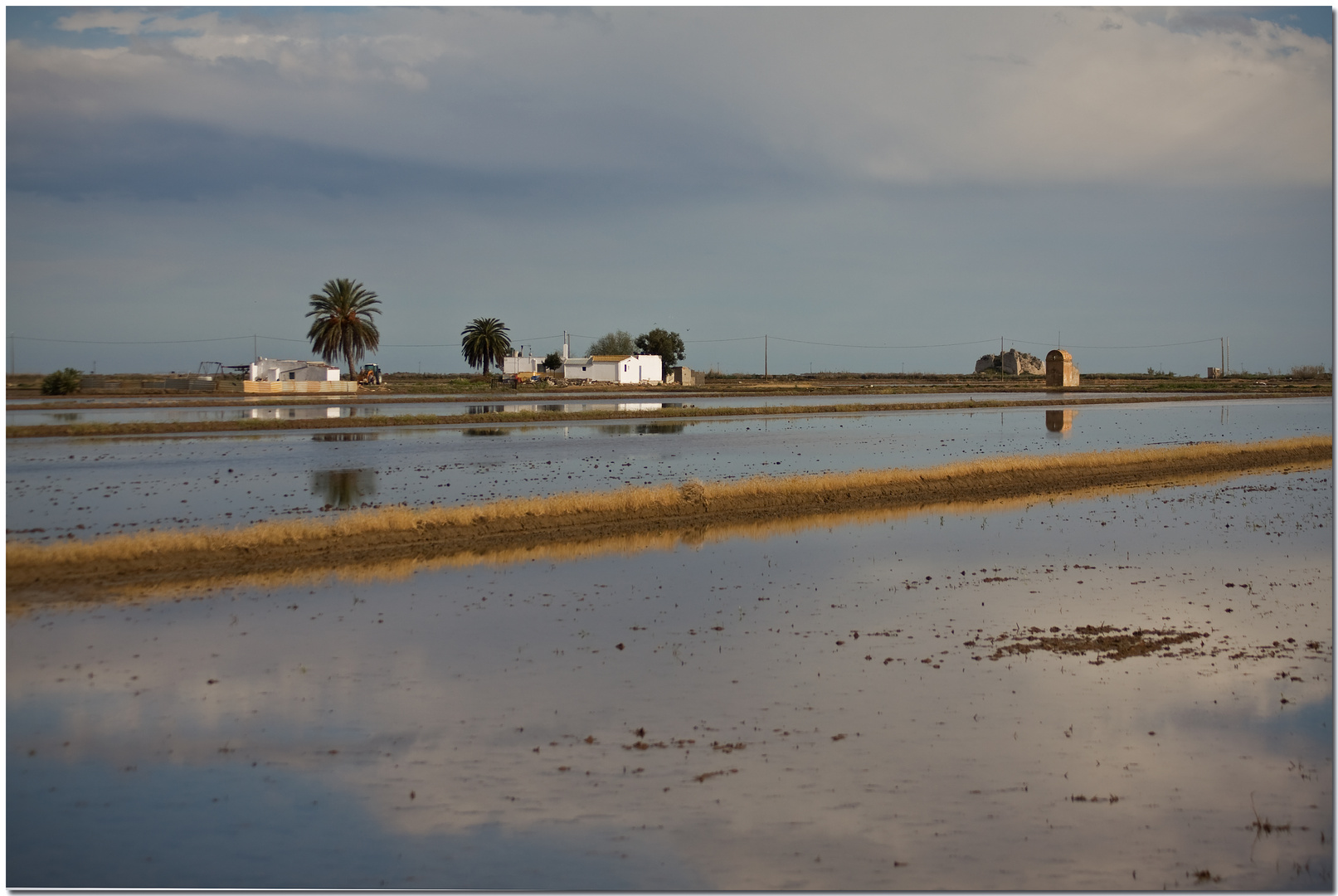 Delta de l'Ebre VIII