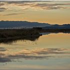 Delta de l'Ebre X