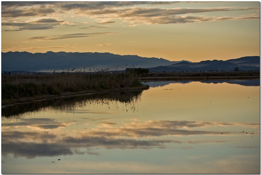 Delta de l'Ebre X