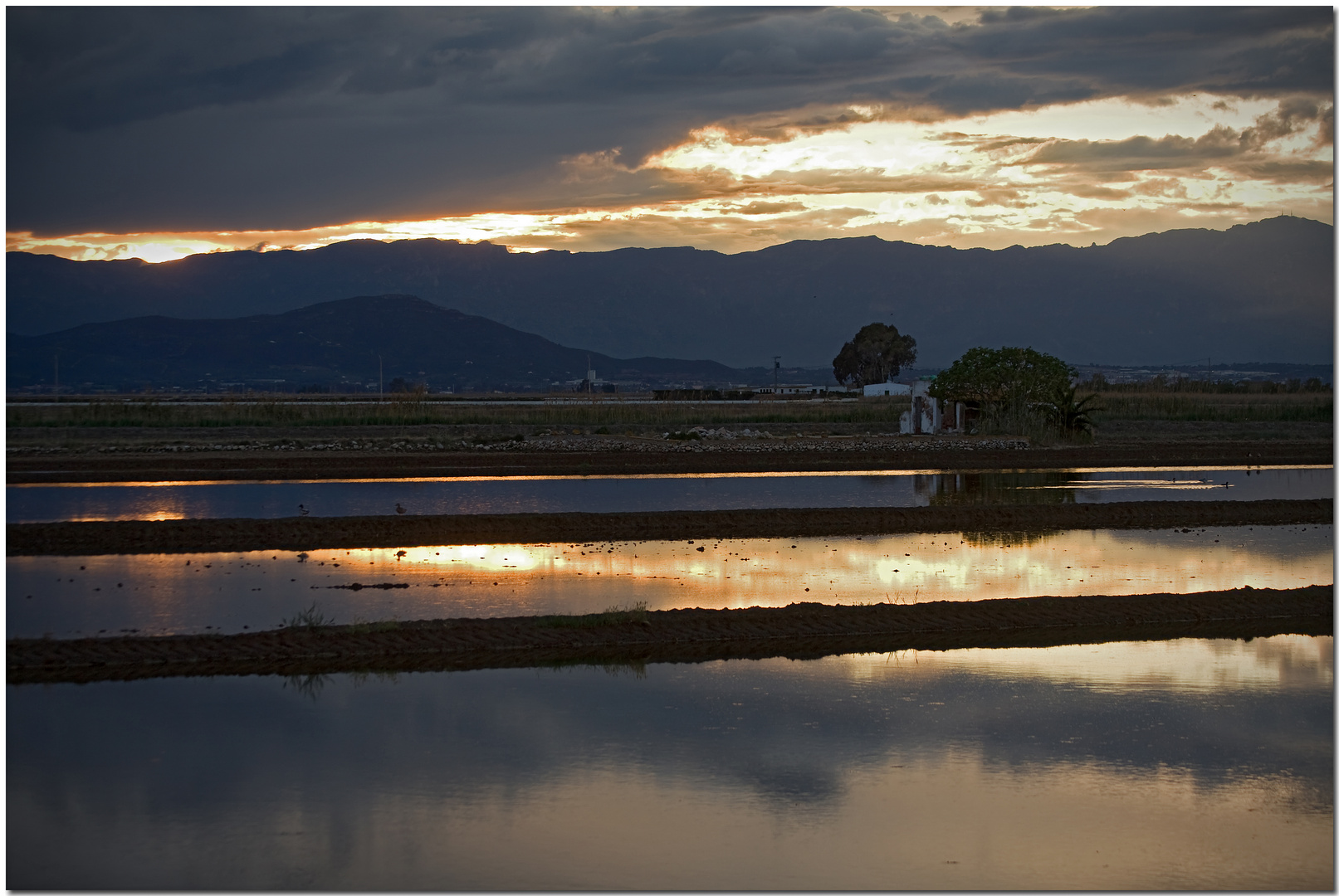 Delta de l'Ebre XV