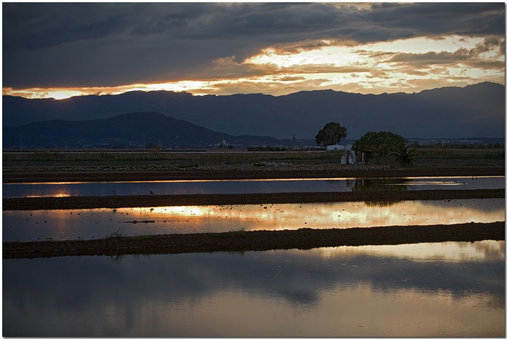 Delta de l'Ebre XV