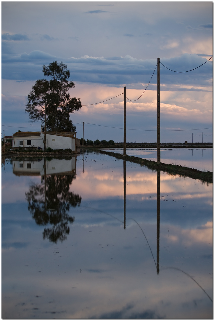 Delta de l'Ebre XVII