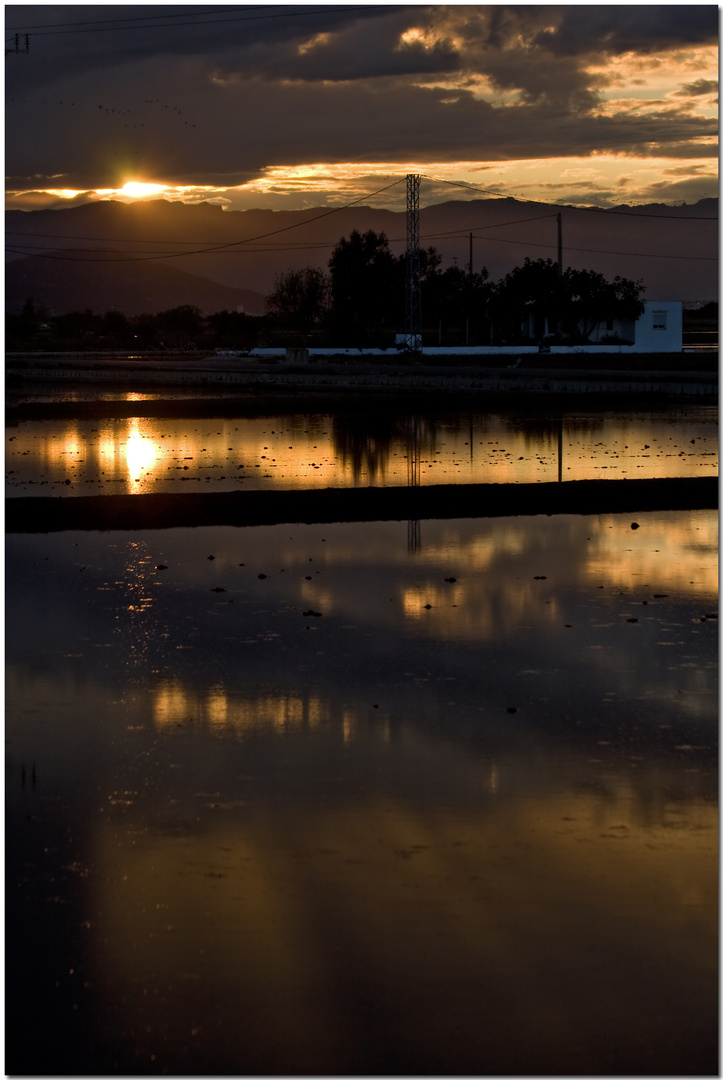 Delta de l'Ebre XX