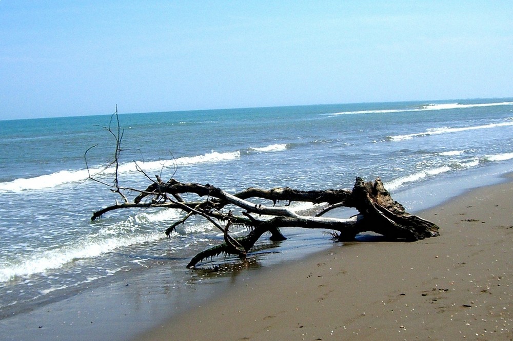 Delta Del Ebro Tarragona-Spain