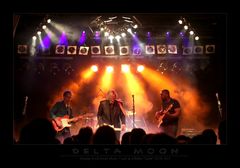 Delta Moon - Live 2014