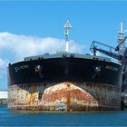DELTA VICTORY / Oil Tanker / Rotterdam