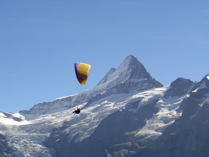 Deltasegler über Grindelwald