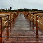 Deltebre (Riumar) - passarel.la a la platja - Baix Ebre