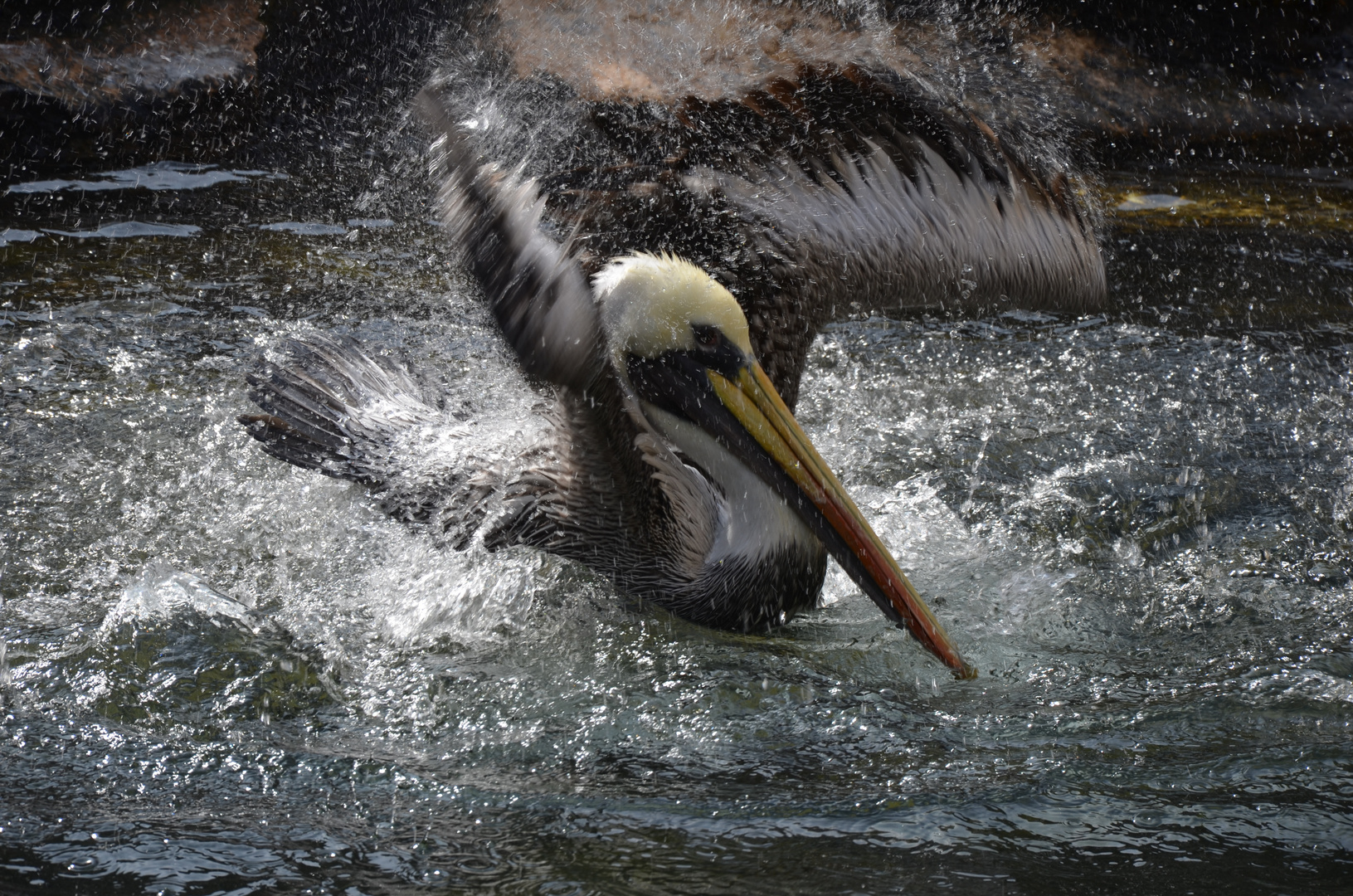 Déluge de bain