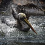 Déluge de bain