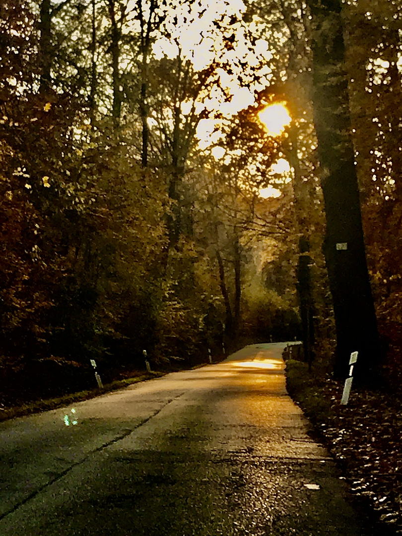 dem Abend entgegen durch die Natur 