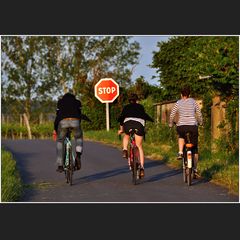 Dem Abendbrot entgegen