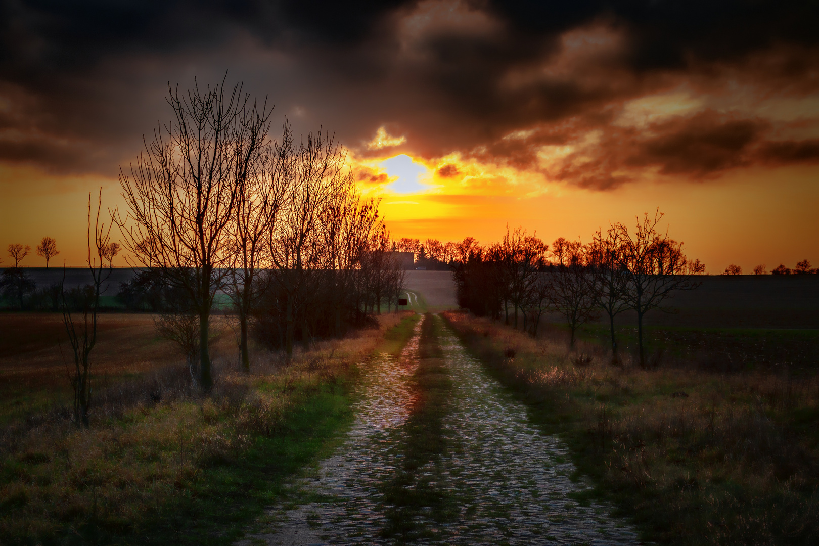 Dem Abendlicht entgegen ...