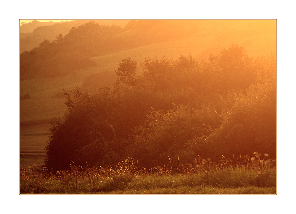 ...dem Abendlicht entgegen...