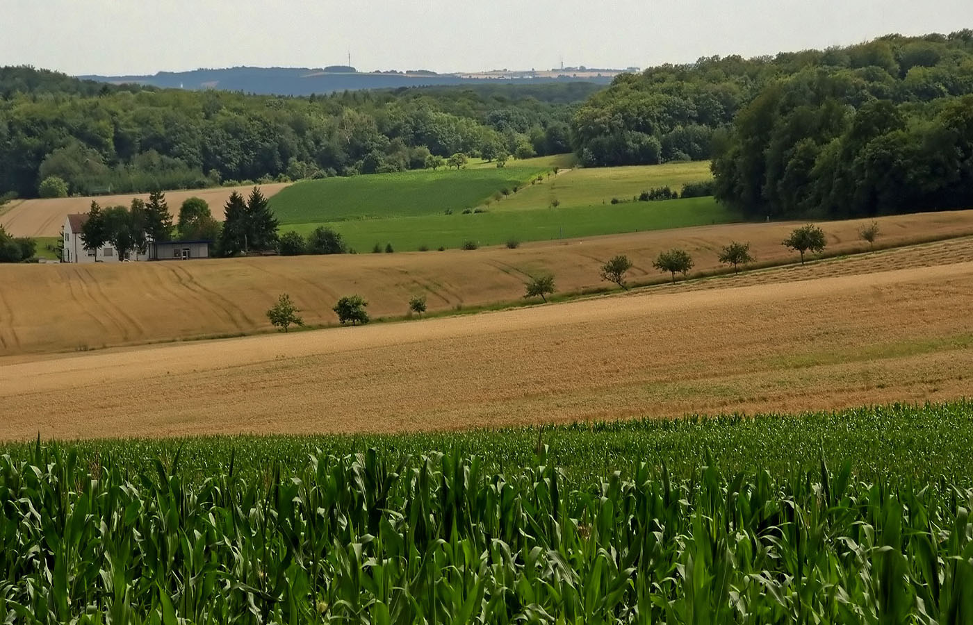 Dem alten Grenzhaus ....