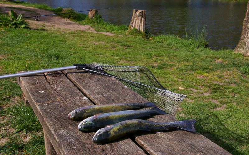 Dem Angler über die Schulter geschaut........