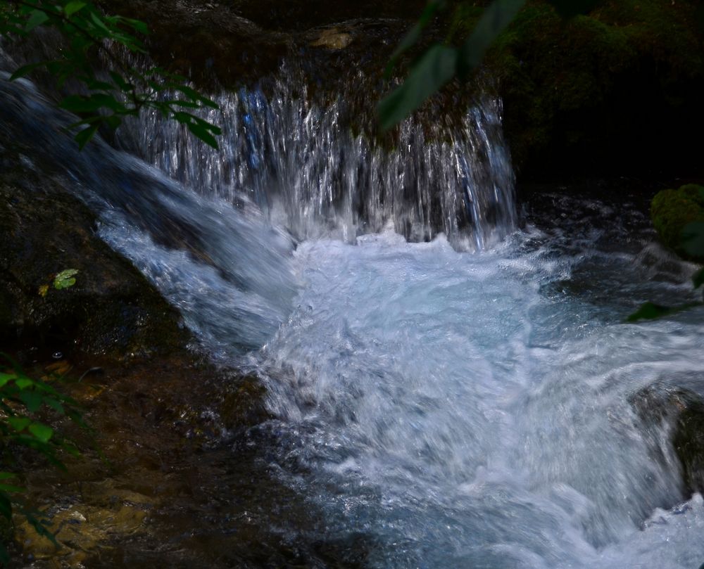 dem Bach entlang Foto & Bild | landschaft, bach, fluss & see, natur