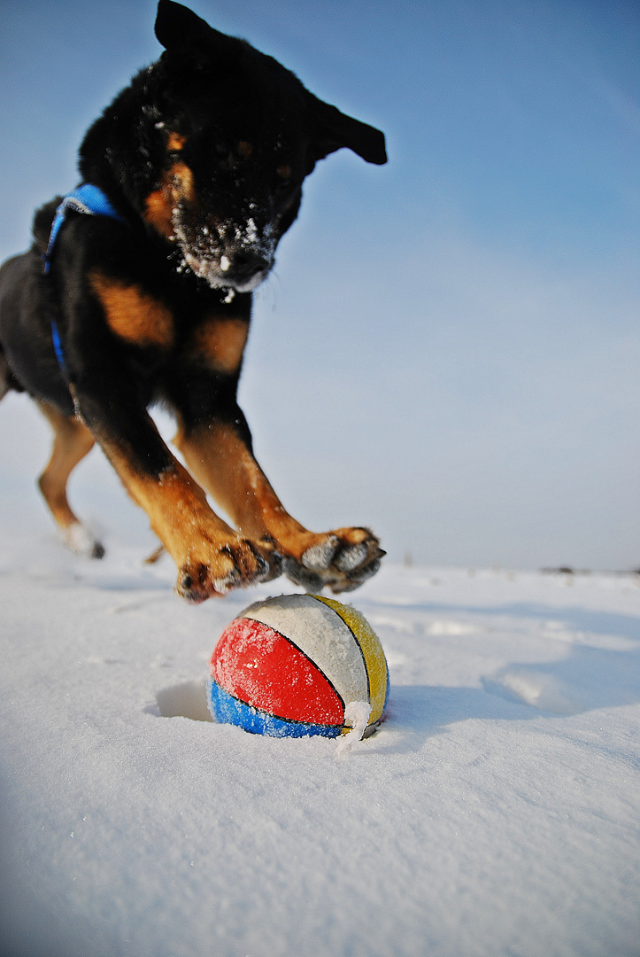 Dem Ball sein Schicksal