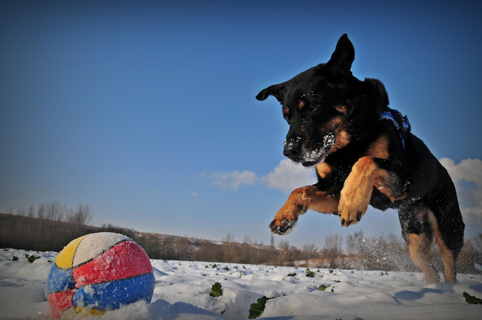 Dem Ball sein Schicksal II