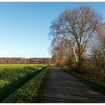 Dem blauen Himmel entgegen