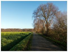 Dem blauen Himmel entgegen