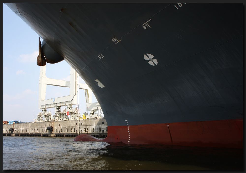 ...Dem Containerpott unter´s Röckchen geschaut...