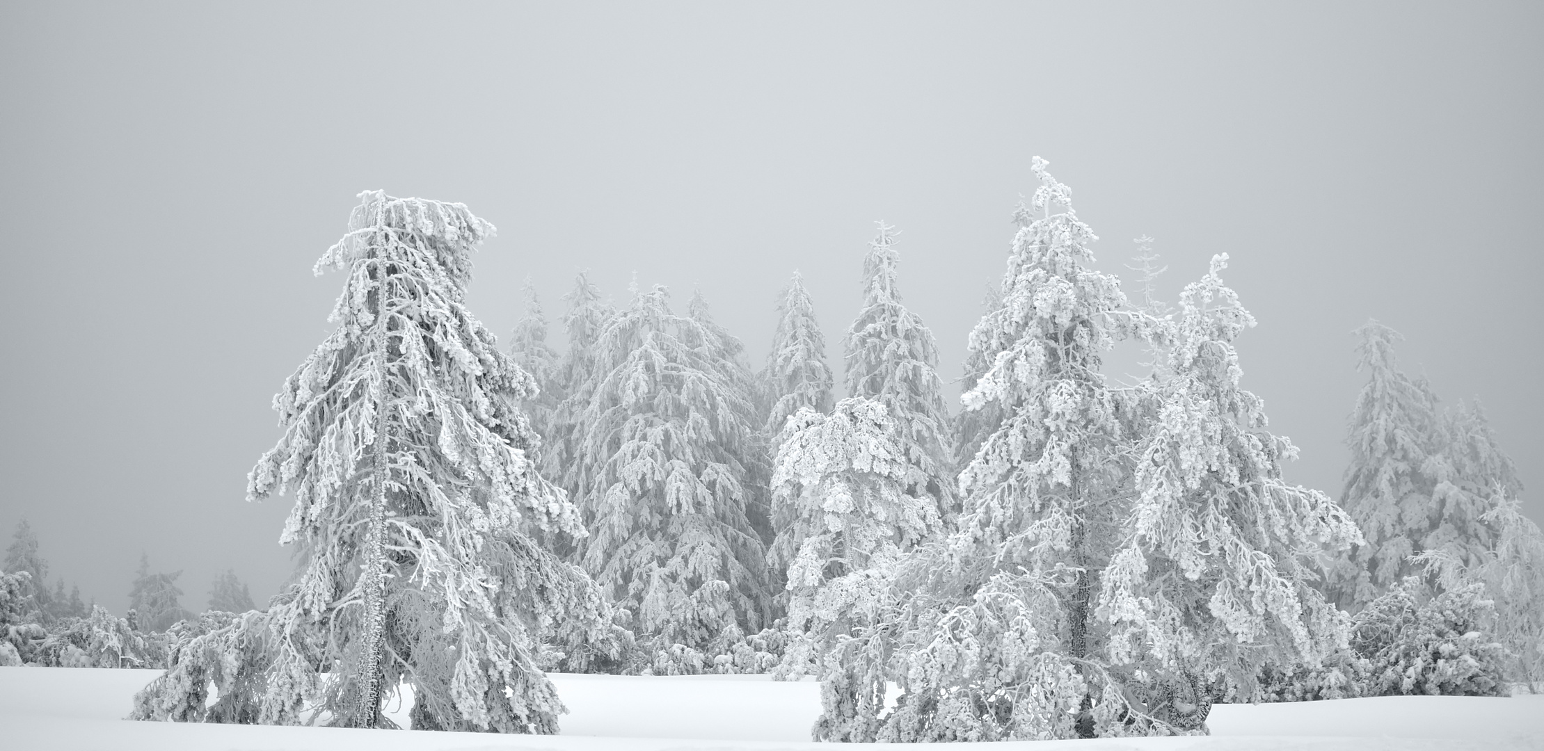 dem Ende des Winters entgegen