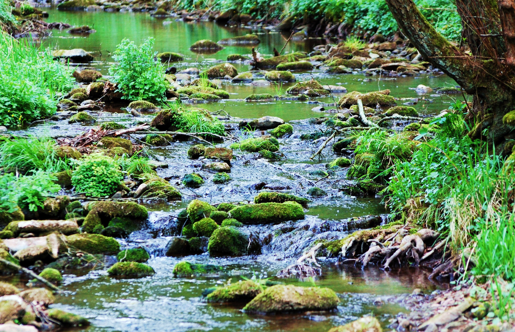 Dem Fluss des Lebens anvertrauen.