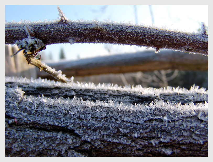 Dem Frost ein Abschied